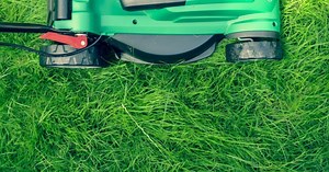 The Best Lawn Care Products to Keep Your Yard Healthy