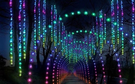 Winterfest Wonders of Light Walking Trail | Walk-thru Holiday Lights Experience