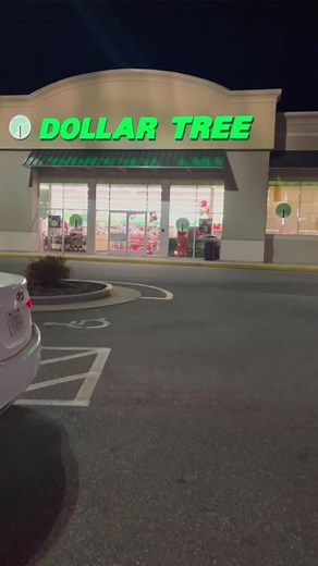 Shop with me to make a $20 Dollar Tree Thanksgiving Dinner #dollartreefood #dollartreegroceryhaul #dollartreethanksgiving #thanksgivingdinner #nontraditionalthanksgiving #budgetholidaymeals #gettingcreative #shopwithme #shopwithmeatdollartree #dollartreedinners #dollartreeholiday