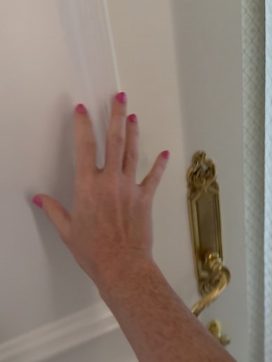 Randy Rainbow on Reels