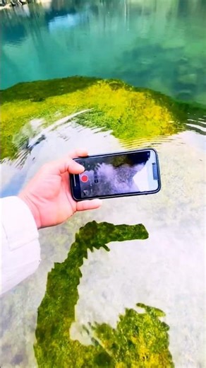 iphone 12~mini wood toy/wood working art skill/wood hand #ytshorts#nature#funny handcrafts