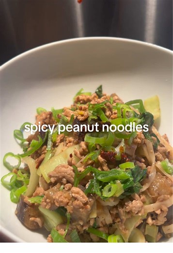the pork was so dry but I only had 5% pls send help xx #quickrecipes #noodles #easyrecipes #peanutnoodles #dinnerideas