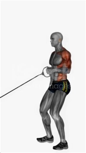 Killer Arms Workout for Massive Biceps & Triceps