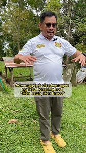 376K views · 5K reactions | Advantages of Traditional method in breeding “Hen hatch , Hen brood” EGAL Gamefarm Full Farm Tour Video today. | Nurse Breeder | Facebook