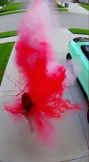 Best Porch Pirate Revenge EVER Recorded! 📦💥