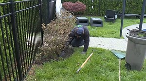 Area landscapers slammed with work