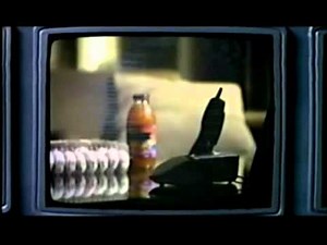 Adam Gregory - Could have fooled me (official video)