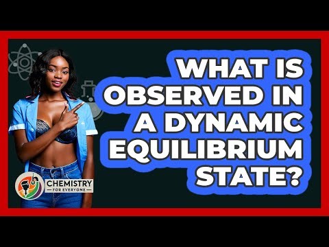 What Is Observed In A Dynamic Equilibrium State?