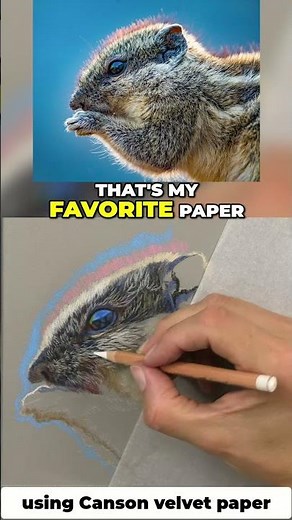 Pastel Pencil Techniques: Achieve Stunning Art on Pastelmat Paper