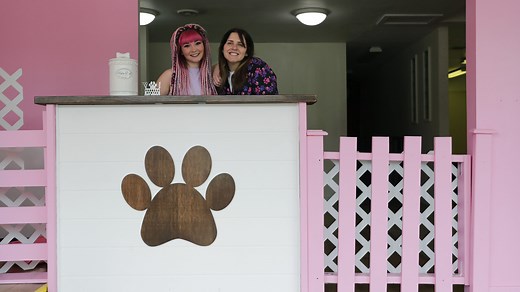 The Buzz | A new pet grooming salon is now open in Appleton, offering full grooms, creative cuts and more