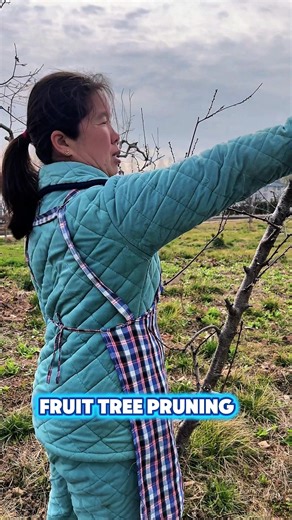 Satisfying Tree Pruning ✂️🌳 | Perfect Cutting Skills #Shorts#treepruning #pruning #farming