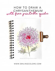 How To Draw A Chrysanthemum Flower - Smiling Colors