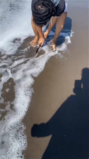 Why Does The Eel Hide In The Sand? #shorts