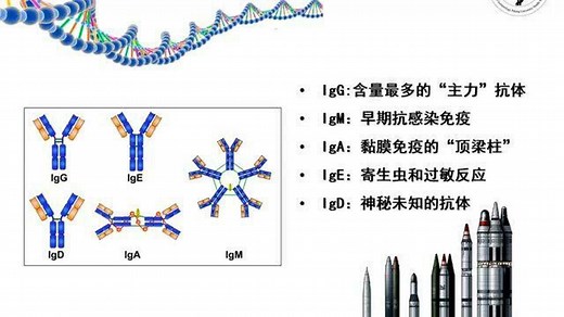 IgM、IgG搞不懂？4分钟教你弄明白什么是抗体_高清1080P在线观看平台_腾讯视频