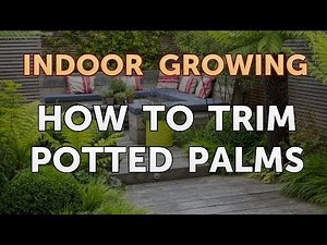 How to Trim Potted Palms