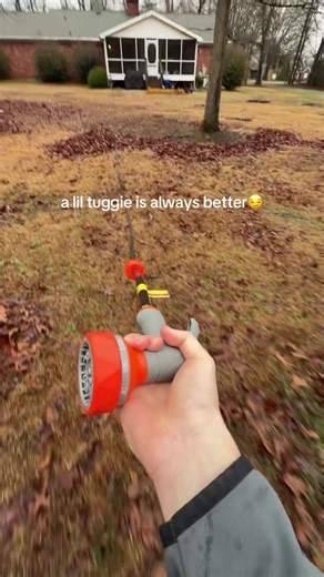 Why a Retractable Hose Reel is a Game Changer for Gardens