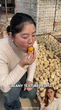 How Salt Curing Turns Egg Yolk Into Liquid Gold