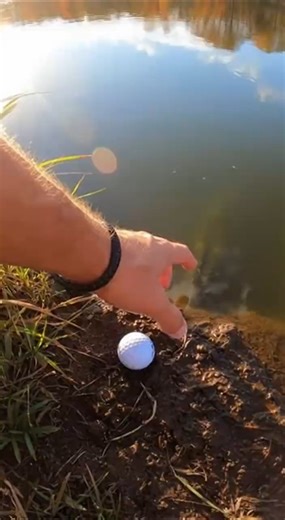 Alligator Explodes From Mud Inches From Hand
