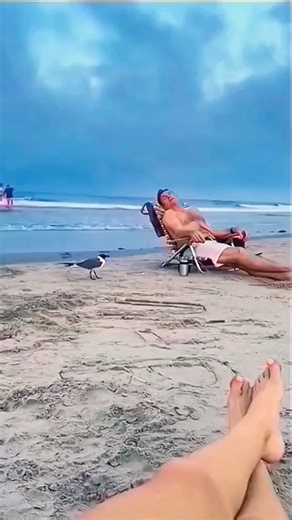 1.4M views · 10K reactions |  Don't be angry with him Discover more below  #amazingbirds #naturelovers #birds | Nature And Wildlife | Facebook