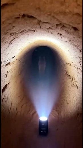 POV Camera on a Fox Inside a Massive Underground Den #Fox#WildFox#FoxLife#NatureVideo#ForestAnimals