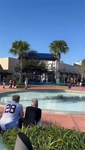 Lovely afternoon at Disney Springs #Christmas #orlando #disneysprings | Disney World Packages -Orlando Florida