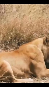 😱😱😱 | Whiskey Tango & Co.