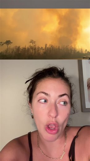 Exploring Alligator Alley in Florida