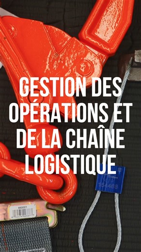 Institut maritime du Québec on Instagram: "Tu veux jouer un rôle clé dans le transport mondial de marchandises et de personnes? Le programme Gestion des opérations et de la chaîne logistique (GOCL) de l’IMQ te prépare à coordonner, optimiser et faire circuler le monde! Tu apprendras à : 🌍 organiser les déplacements à l’échelle internationale; 📈 maximiser la satisfaction client et la rentabilité; 🤝 collaborer avec les fournisseurs, clients et gestionnaires; 💻 utiliser des outils numériques p