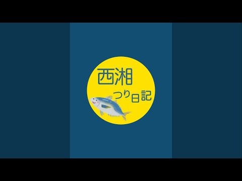 風は強いけど、ぶっこみさびきでアジ狙いやってみる