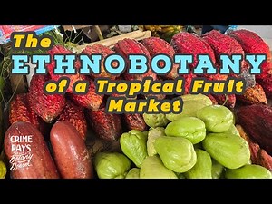 Ethnobotany of a Tropical Fruit Market