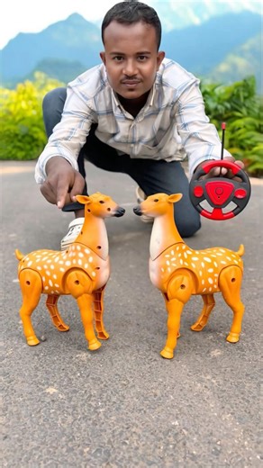 Amazing Remote Control Deer 🦌 Toys Unboxing