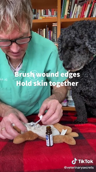 Fast Home Remedies to Stop Bleeding on Wounds