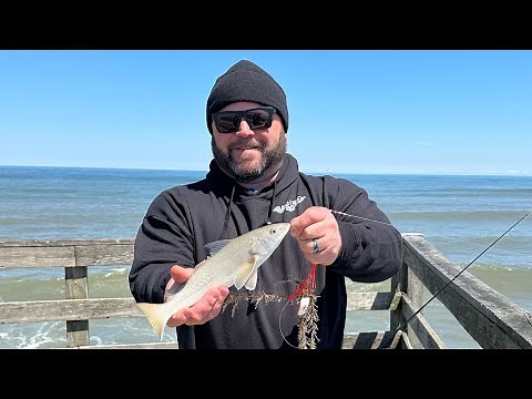 Fishing the Outer Banks Fishing Pier, Nags Head, NC April 2024