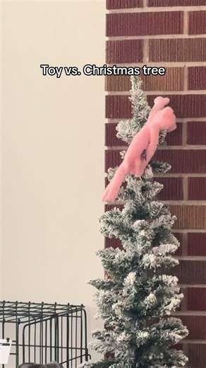 Dog vs. Christmas Tree: Hilarious Playtime Moments