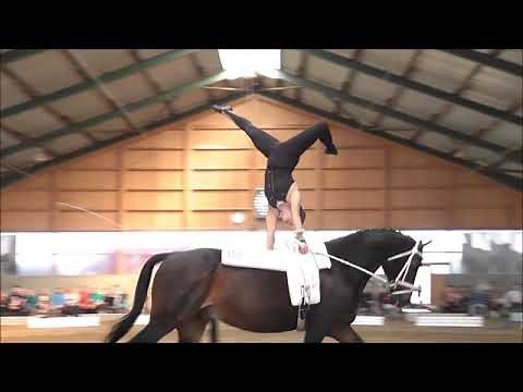 Voltigieren -Turnier Ingelsberg 2019- Regina Burgmayr