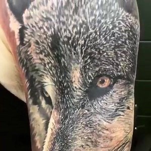 Wolf Tattoo by Steve Butcher | InkSpired Magazine