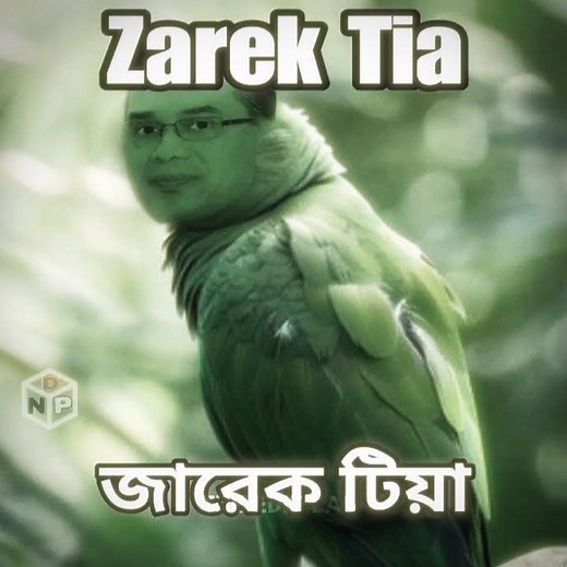 BNP Theme Song ✌️#nocopyright #likeforlikes #moreviews2025 #moresubscribers #100kvews #bnp