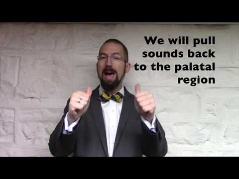 Teaching the Palatal Sounds