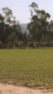 Happy Birthday to the late legend George Carlin (1937-2008) | Jay and Silent Bob