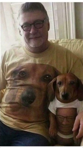 #shorts #funny #memes