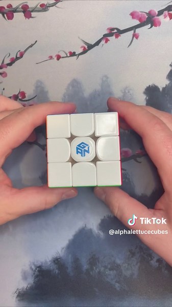 How to Read Algorithms | Basic Cube Notation #fyp #fypシ #foryou #rubikscube #cubing #speedcubing #chillvibes📸❤️