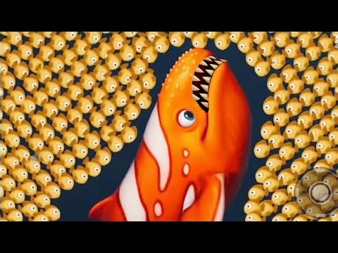 Fishdom Ads | Hungry Fish New Update [8.71] Fishdom Ads#fishdom