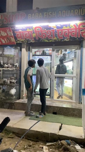 ये जरूर देखो🫣#aquarium #aquaticpets#fish#fishtank#pets #aquariumfish #fishing#ytshorts#shortsfeed