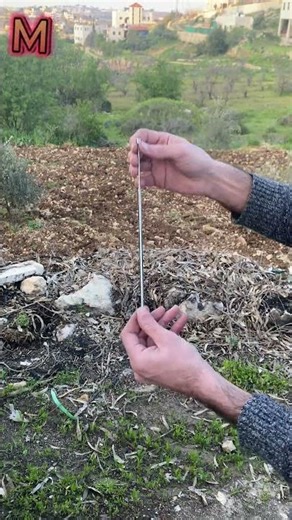 🛠️DIY Magnetic Pick Up Tool#woodworking #tools #tools4life#car #woodworkingadvice#top