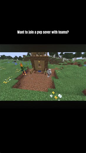 Pvp Java only sever #minecraftshorts #minecraft