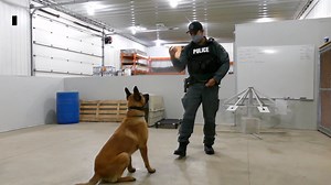 8.3K views · 272 reactions | A new member of the Manitoba First Nations Police Service is making history. #TheMoment | CBC News: The National | Facebook