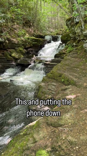 86K views · 2.8K reactions | AFAR just named West Virginia as one of the best places to unplug and we agree. Natural landscapes as far as the eye can see and slow living vibes. Read the article: https://www.afar.com/magazine/unplug-and-disconnect-in-west-virginia-this-summer #visitwv | Visit Southern West Virginia | Facebook