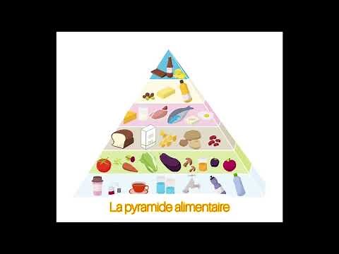 La pyramide alimentaire: les différentes familles d’aliments