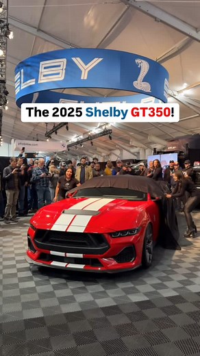Ford Mustang Club | The 2025 Shelby GT350 is here! 🤯🐍 #ShelbyAmerican #Shelby #GT350 | Instagram