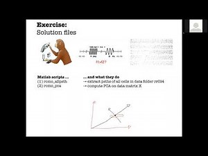 2021-08-17 Christian Machens - Population coding and distributed representations in the brain